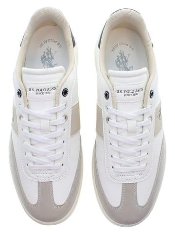 U.S. Polo Assn. Sneakers in Creme/ Beige