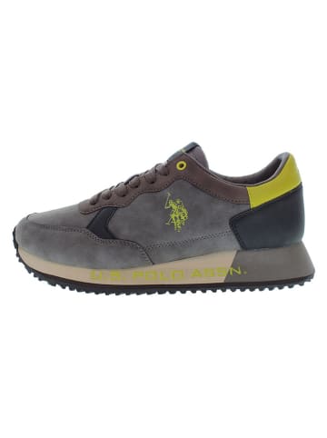 U.S. Polo Assn. Sneakers "Cleef" in Anthrazit