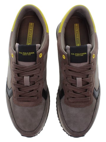 U.S. Polo Assn. Sneakers antraciet