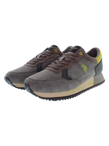 U.S. Polo Assn. Sneakers "Cleef" in Anthrazit