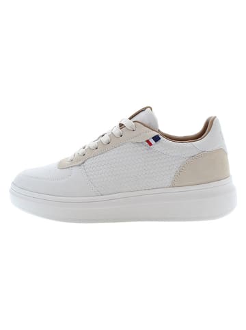 U.S. Polo Assn. Sneakers in Weiß/ Beige