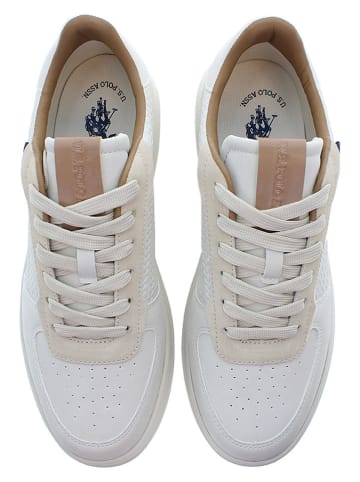 U.S. Polo Assn. Sneakers in Weiß/ Beige