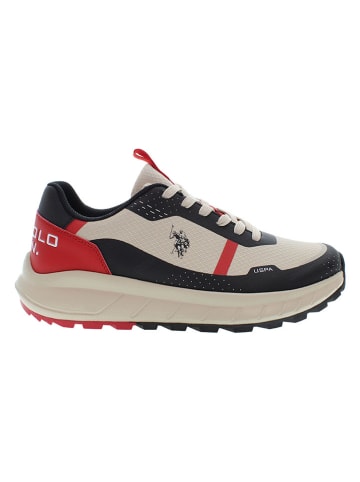U.S. Polo Assn. Sneakers in Creme/ Rot/ Schwarz