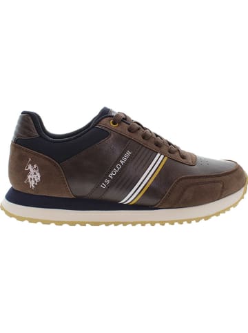 U.S. Polo Assn. Sneakers in Braun