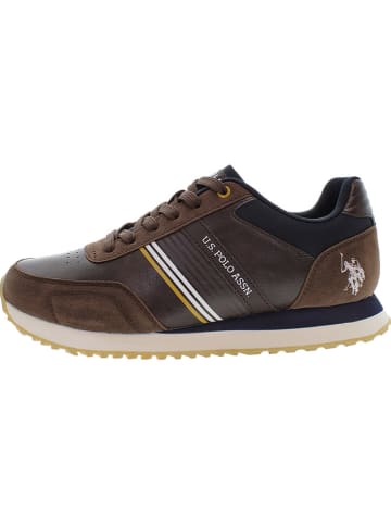 U.S. Polo Assn. Sneakers bruin
