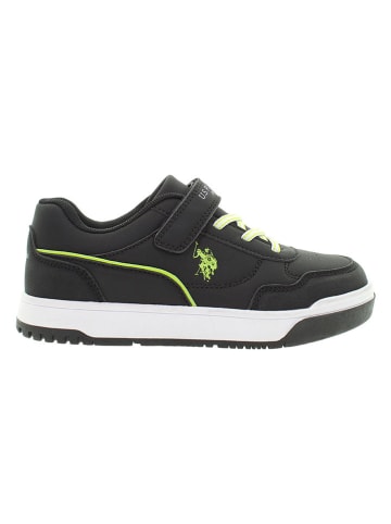 U.S. Polo Assn. Sneakers in Schwarz