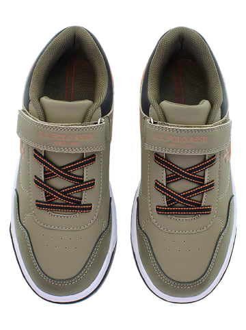 U.S. Polo Assn. Sneakers in Khaki