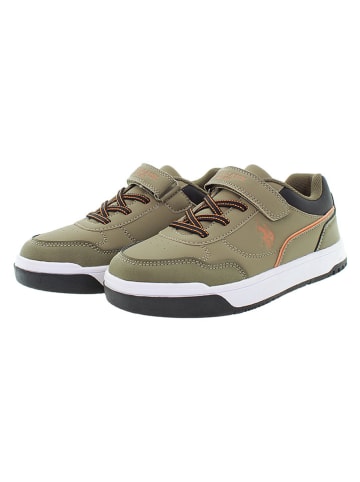 U.S. Polo Assn. Sneakersy w kolorze khaki