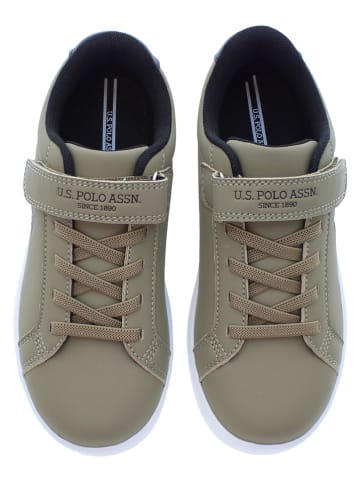 U.S. Polo Assn. Sneakers in Khaki