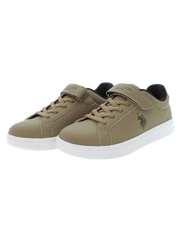 U.S. Polo Assn. Sneakers kaki