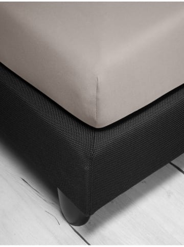 Irisette Jersey-Spannbettlaken in Grau