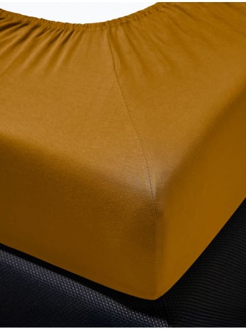 Irisette Prześcieradło dżersejowe w kolorze jasnobrązowym na gumce