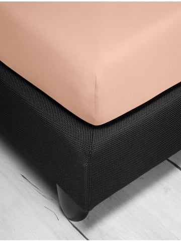 Irisette Jersey-Spannbettlaken in Apricot