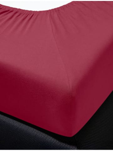 Irisette Prześcieradło dżersejowe w kolorze bordowym na gumce