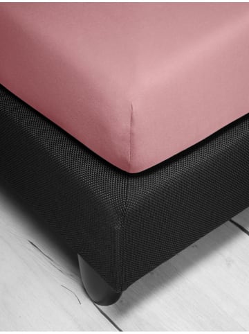 Irisette Prześcieradło dżersejowe w kolorze szaroróżowym na gumce