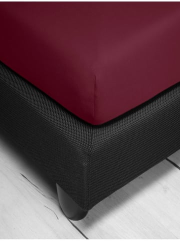 Irisette Prześcieradło dżersejowe w kolorze jagodowym na gumce