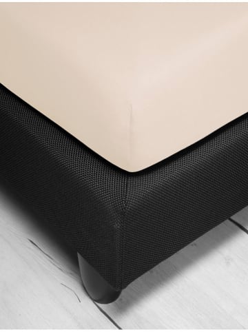 Irisette Jersey-Spannbettlaken in Beige