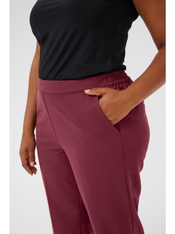 KAFFE curve Hose "Sakira" in Bordeaux