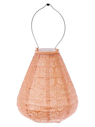 Lumiz Ledsolarlantaarn "Fiore Tulip" abrikooskleurig - (H)22,5 x Ø 20 cm