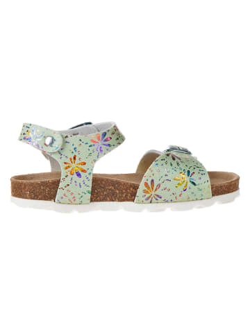 BIO PINGÜIN Sandalen groen