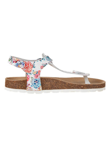 BIO PINGÜIN Teenslippers wit/meerkleurig