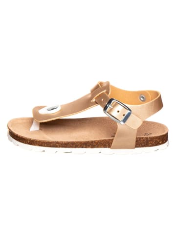 BIO PINGÜIN Teenslippers goudkleurig