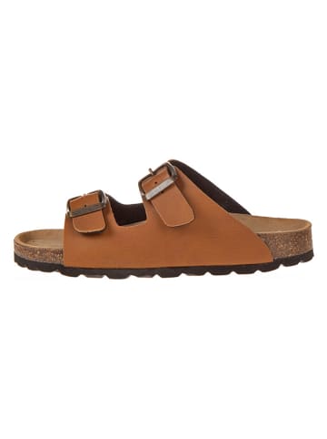 BIO PINGÜIN Slippers lichtbruin