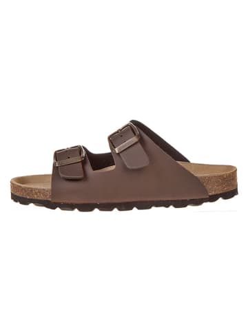 BIO PINGÜIN Slippers bruin