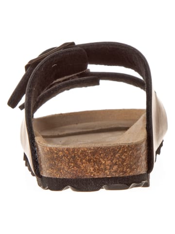 BIO PINGÜIN Klapki w kolorze brązowym