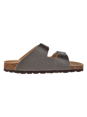 BIO PINGÜIN Slippers antraciet