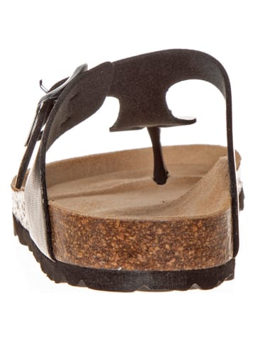 BIO PINGÜIN Teenslippers antraciet