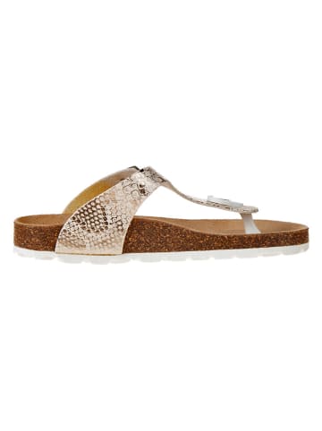 BIO PINGÜIN Teenslippers goudkleurig
