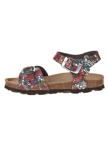 BIO PINGÜIN Sandalen in Anthrazit/ Bunt