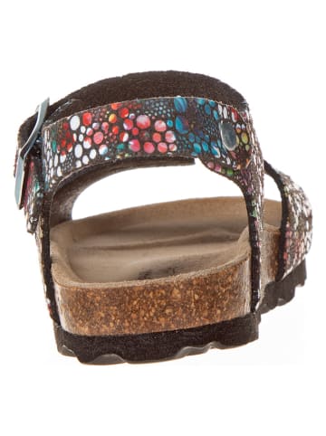 BIO PINGÜIN Sandalen antraciet/meerkleurig