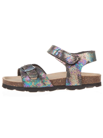 BIO PINGÜIN Sandalen in Schwarz/ Bunt