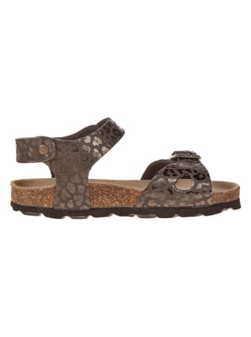 BIO PINGÜIN Sandalen in Braun