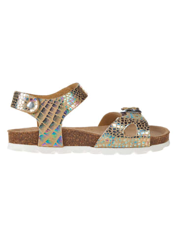 BIO PINGÜIN Sandalen goudkleurig/meerkleurig