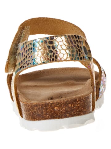 BIO PINGÜIN Sandalen in Gold/ Bunt