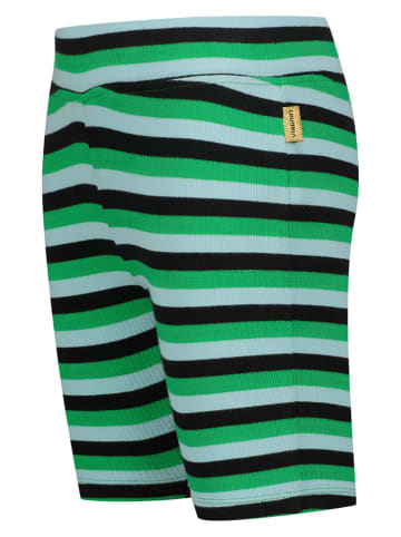 Vingino Shorts "Sammy" in Grün/ Schwarz