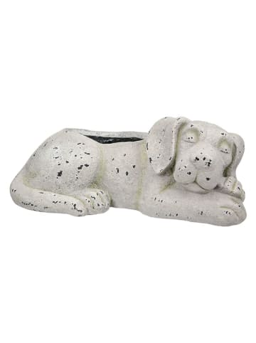 GILDE Übertopf "Trentino" in Grau - (B)44,5 x (H)17,5 x (T)25,5 cm