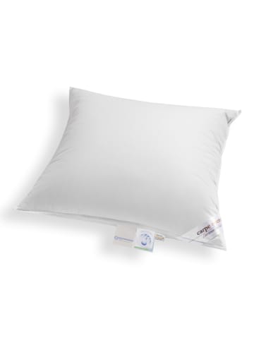 Schäfer Poduszka "Carpe noctem - soft" w kolorze srebrnym