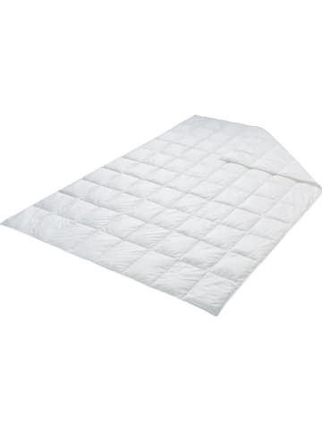 Schäfer Sommer-Dauneneinziehdecke in Weiß