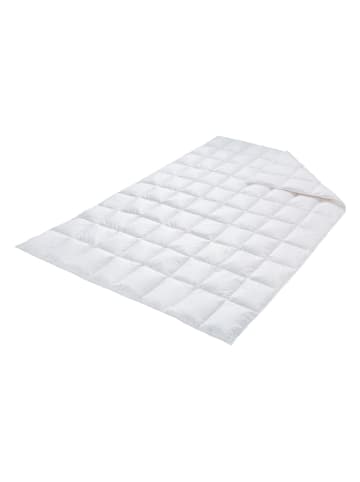 Schäfer Sommer-Daunendecke "Queen of the night" in Weiß