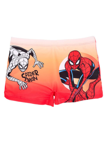 Spiderman Badehose "Spiderman" in Rot/ Bunt