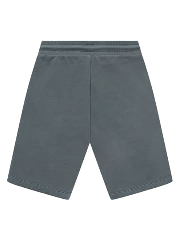 Cars Shorts "Graze" in Grau