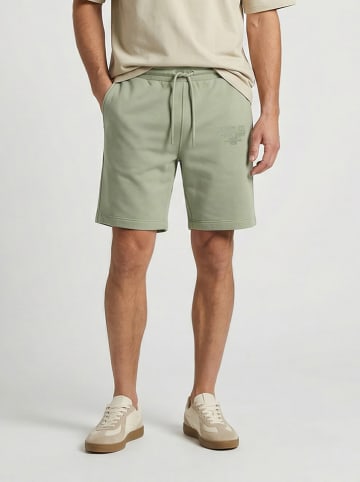 Cars Shorts "Graze" in Grün