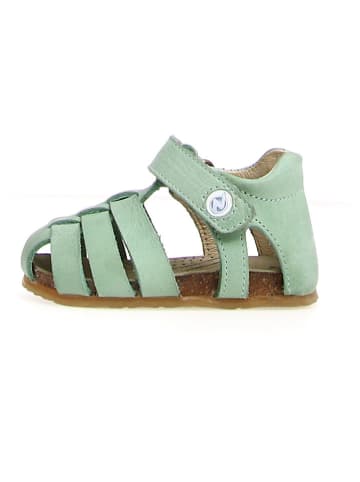 Naturino Leren enkelsandalen "Alb" mintgroen