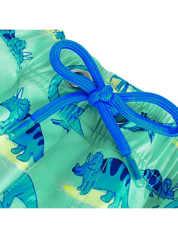 Peek U Badeshorts "Nehir" in Türkis/ Blau