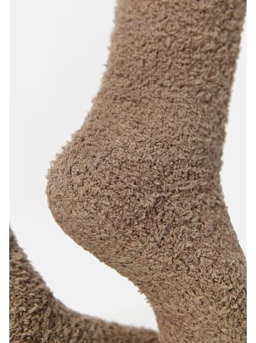 Nur Die Socken in Hellbraun