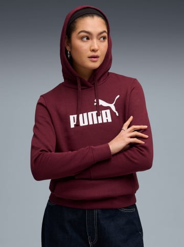 Puma Hoodie in Rot